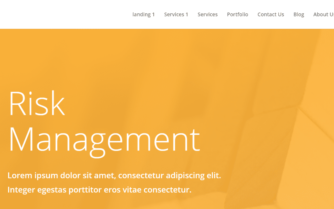 Risk Management