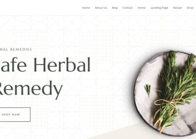 Herbal Remedy Framework